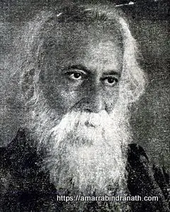 240px Rabindranath Tagore Tamilndu40India Rabindranath Tagore Photo Download