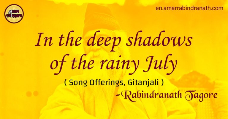 In the deep shadows of the rainy July