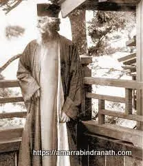 Rabindranath Tagore 46 Rabindranath Tagore 46